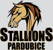 stallions